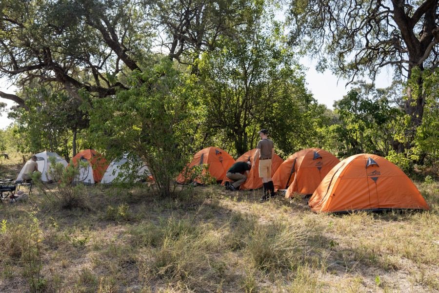 Small orange tents under the trees at camp